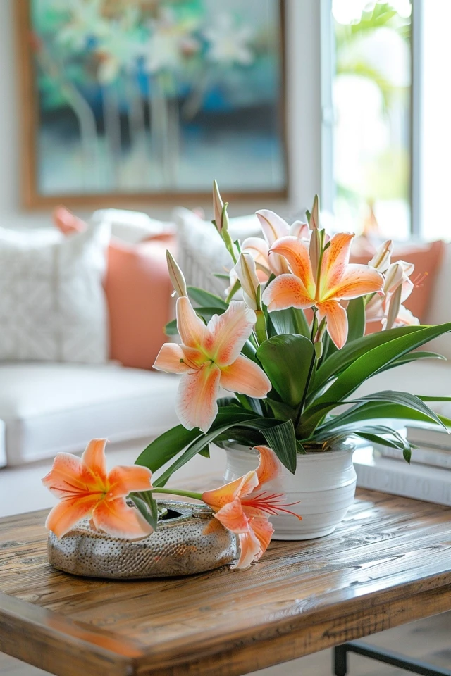 Tropical Decor – Brighten Your Space with These Ideas
