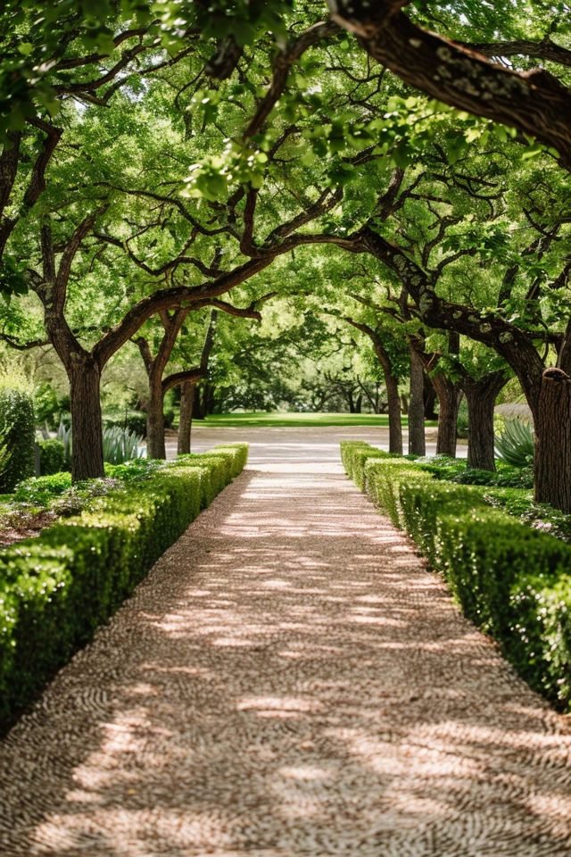 Tree Lined Driveway Ideas to Elevate Your Home
