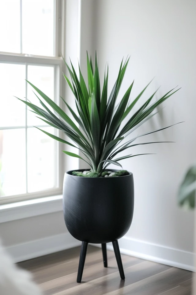 Minimalist Planters: Stylish Greenery